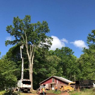 Tree being trimmed by a bucket truck near a red building and other equipment, under a blue sky.