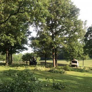 Two vehicles clearing brush under large trees in a grassy field.