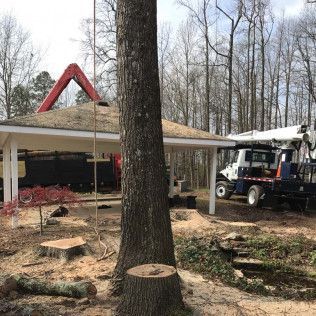 Tree being cut down near a white structure, a crane visible, in a wooded area.