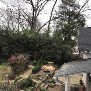 Backyard with greenery, trees, shrubs, and a rooftop. Cloudy sky.