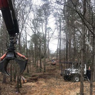 Forest clearing with logging equipment: crane arm, truck, and fallen trees.