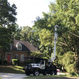 A white tree trimming truck with a raised boom trimming a tree next to a house on a sunny day.