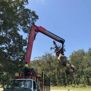 A red crane lifts a tree trunk from a truck. A worker sits in the control seat. Sunny, outdoor setting.