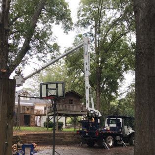 A tree service truck with a crane trimming branches near a house with a treehouse and basketball hoop.