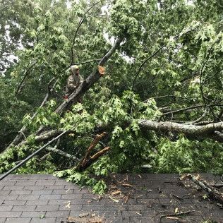 Person on tree limb, cutting it above a roof. Green leaves, brown roof, cloudy sky.