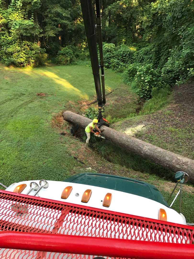 A crane lifting a large log on a grassy area; a worker in yellow stands nearby.
