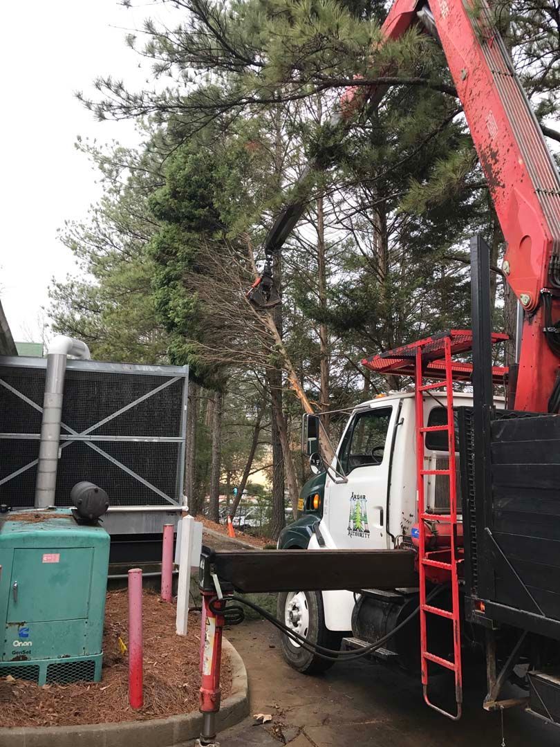 Truck with crane trimming a tree near industrial equipment outdoors.