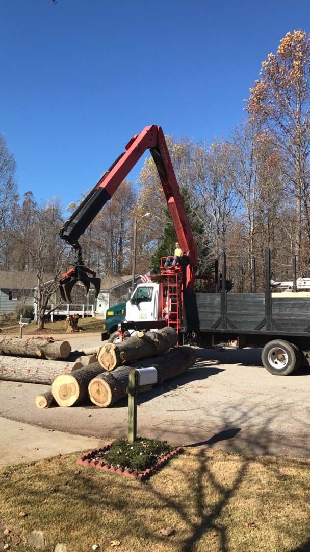 A truck with a crane loading logs on a sunny day.
