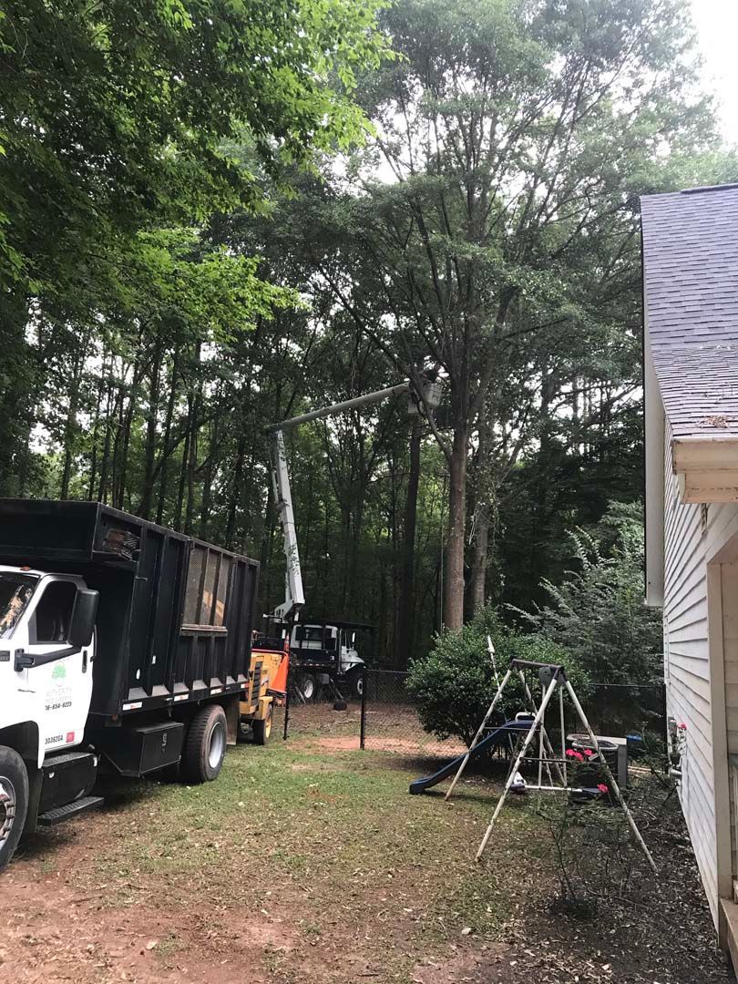 Tree service removing branches; truck, lift, and crew in backyard setting.