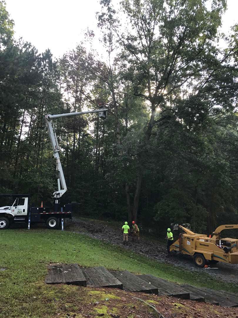 Tree trimming operation: bucket truck, workers, and wood chipper in a wooded area.