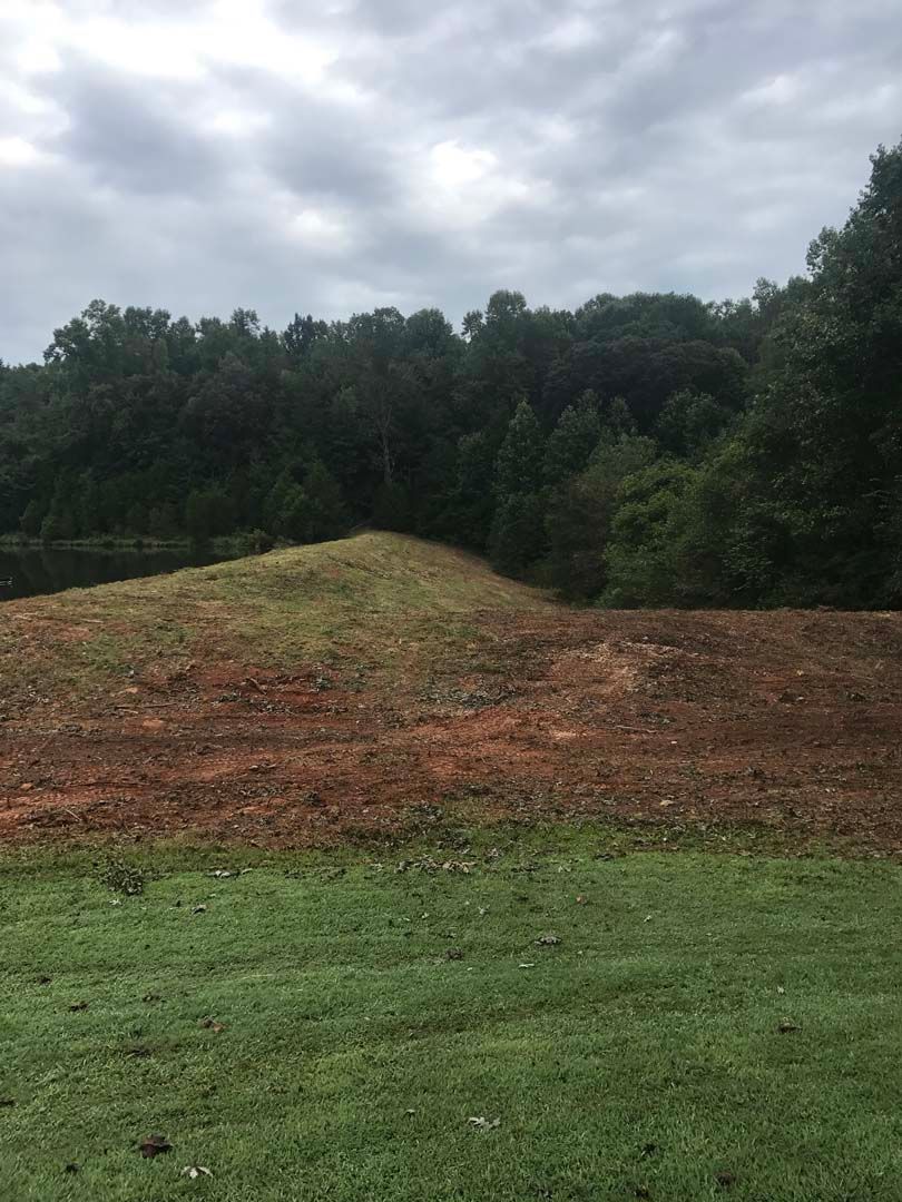 Green grassy foreground, earthen mound with patchy vegetation, dark trees under a cloudy sky.