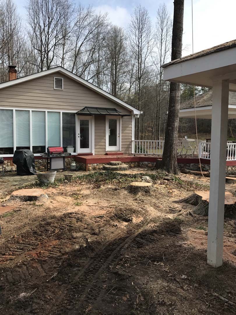 A house with a small deck and a white structure to the right; tree stumps in the foreground.
