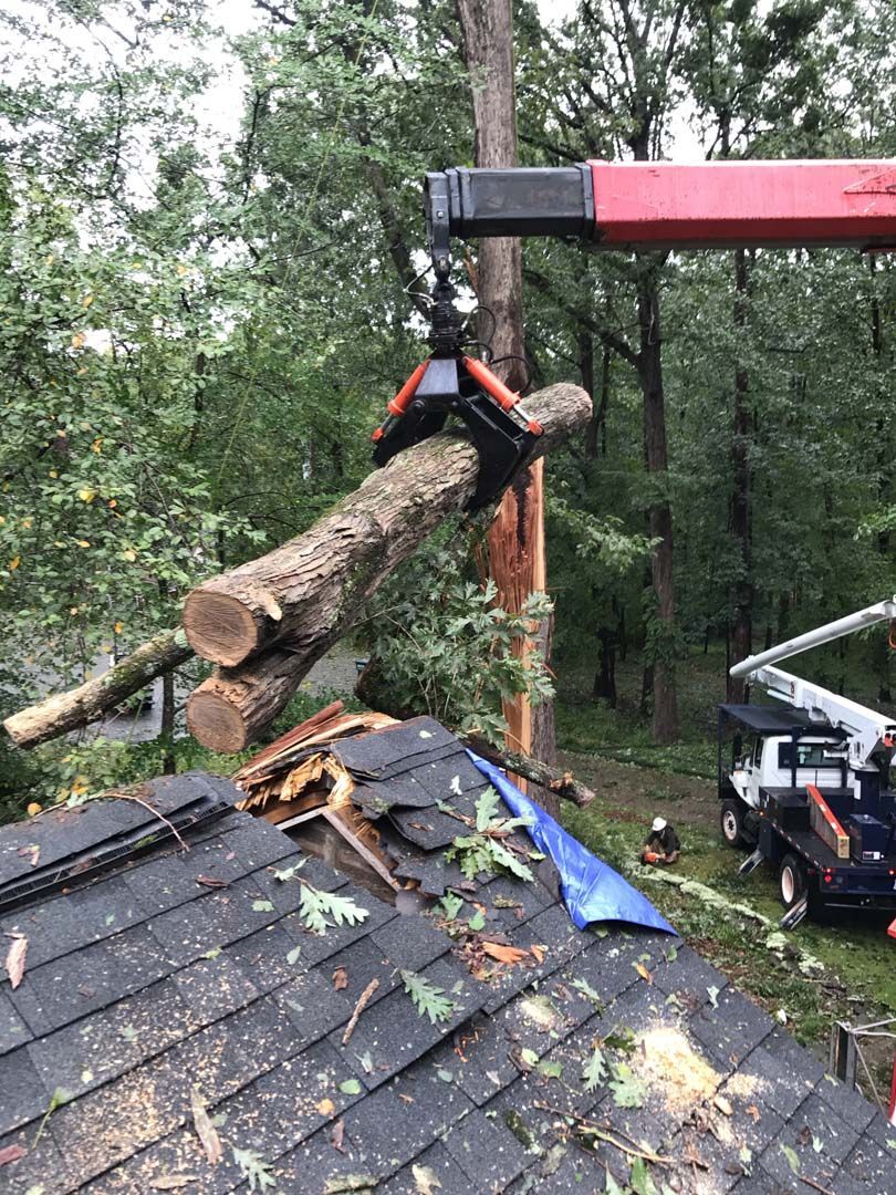 A crane removing a tree branch from a damaged rooftop. Sawdust and a tarp visible.