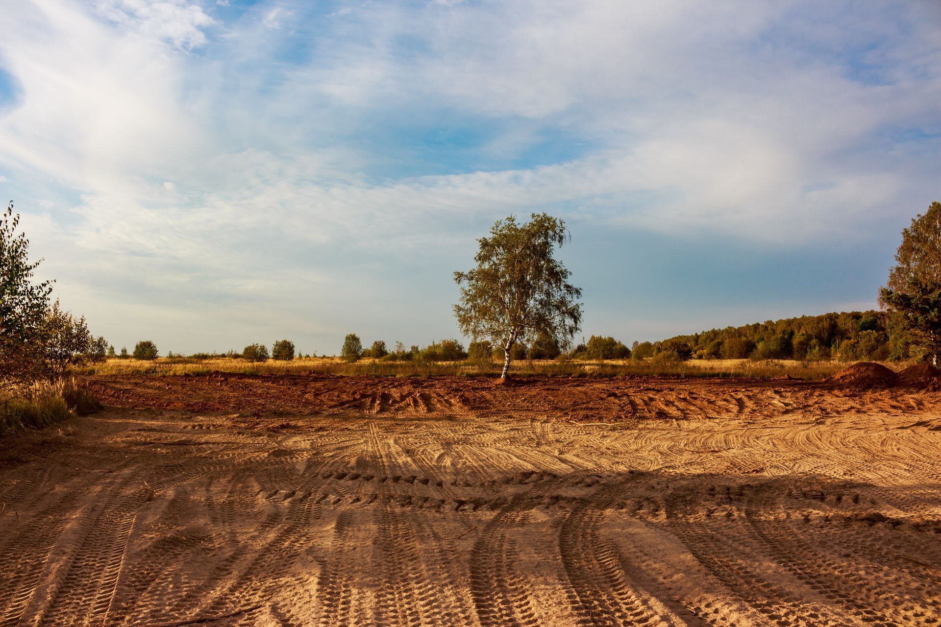 Open field with tire tracks in foreground, brown soil, scattered trees under a blue sky with clouds.
