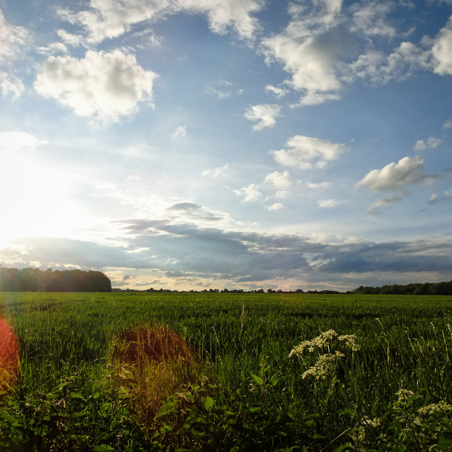 The sun is shining through the clouds over a grassy field
