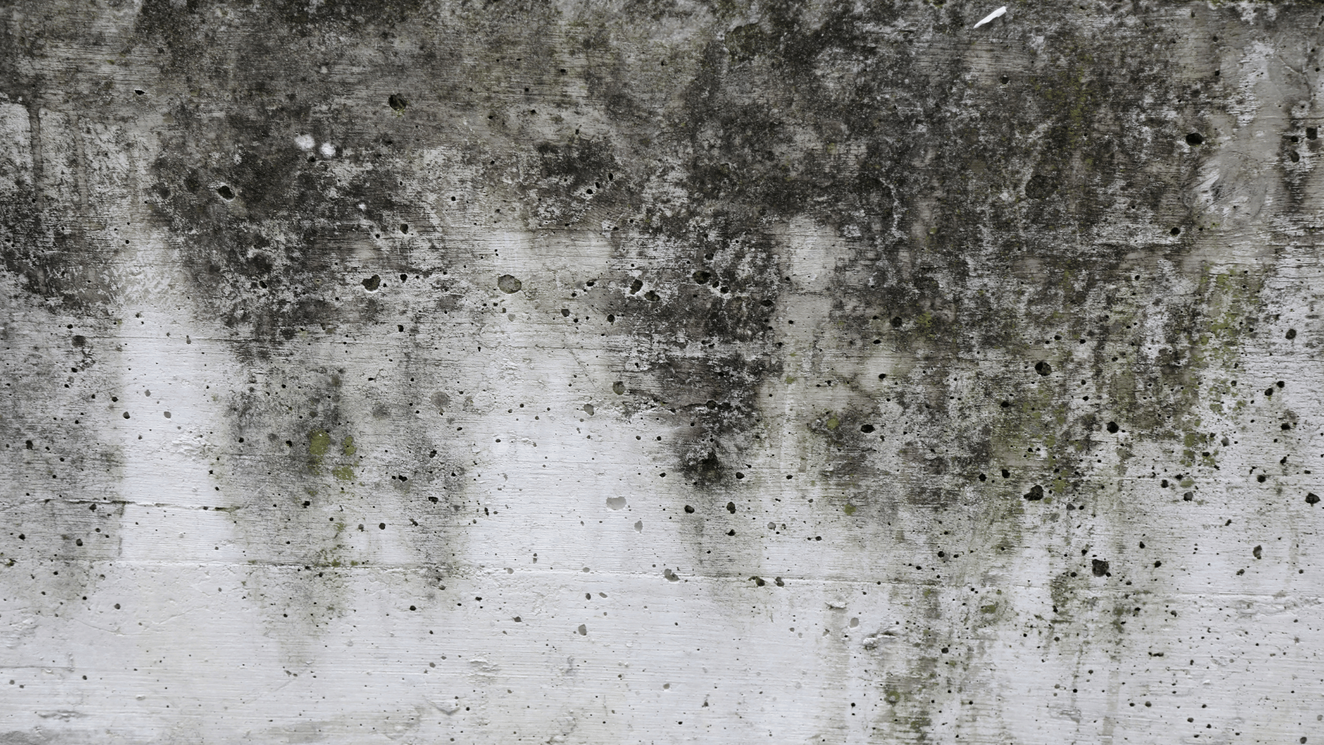 Concrete wall with dark mold and discoloration.