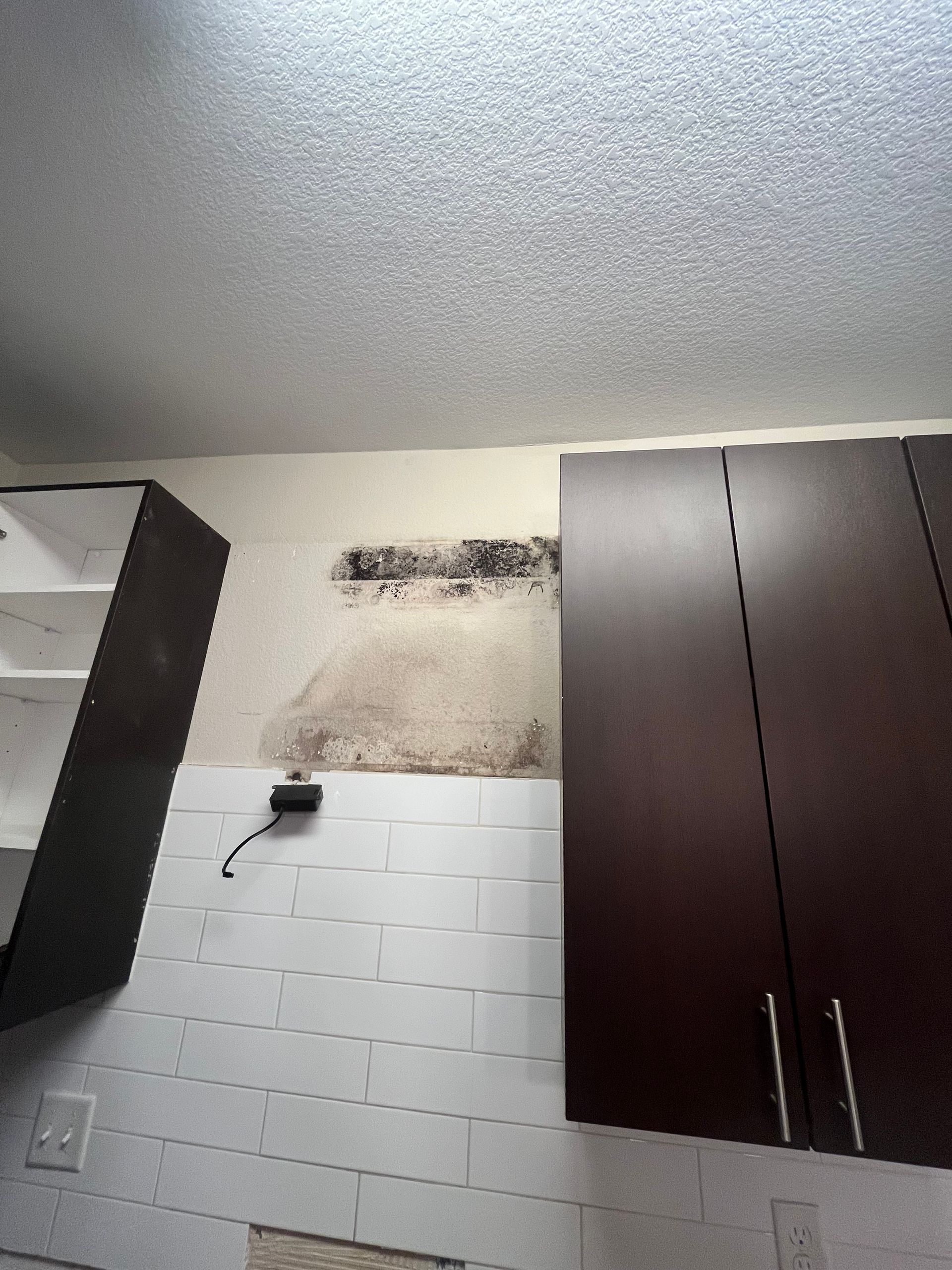 Kitchen wall mold damage cleanup by HRS Restoration Services in Denver Colorado