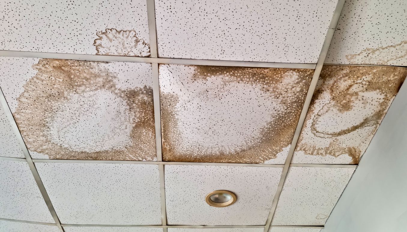 mold growth on a healthcare facility ceiling after water damage