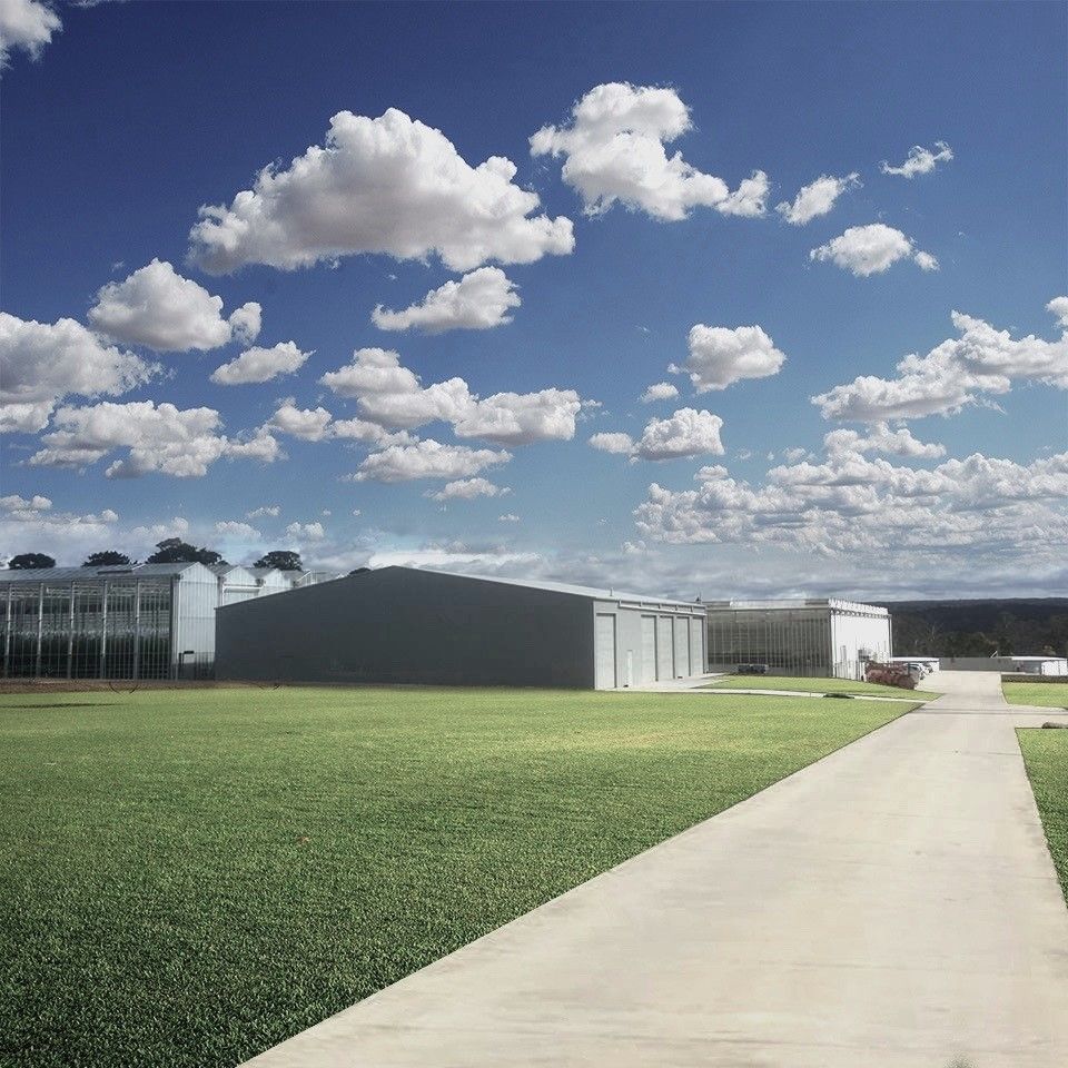 Large Commercial Shed With Open Grass Field — ShedPro Constructions in Bulahdelah, NSW