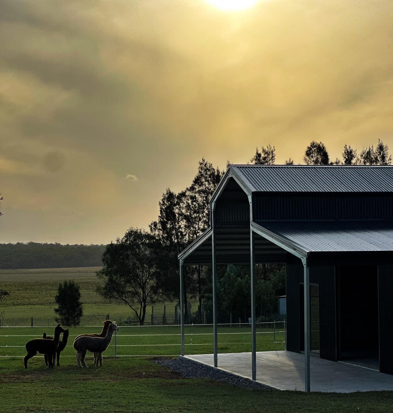 Large Rural Shed With Garaport And Alpacas Out Front — ShedPro Constructions in Smiths Lake, NSW