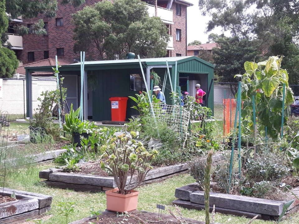 A Garden with A Green Shed and A Red Trash Can — ShedPro Constructions in Darawank, NSW