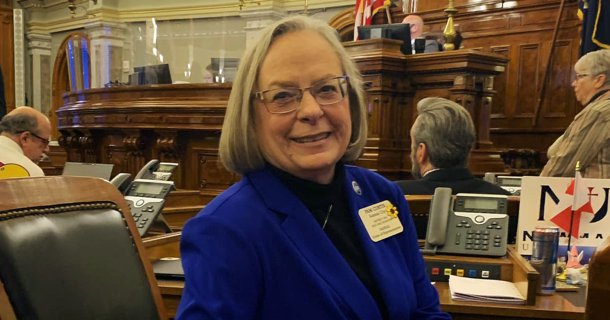 Rep. Pam Curtis working on the House floor.
