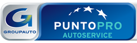 logo punto pro