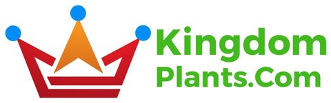 KingdomPlants.Com