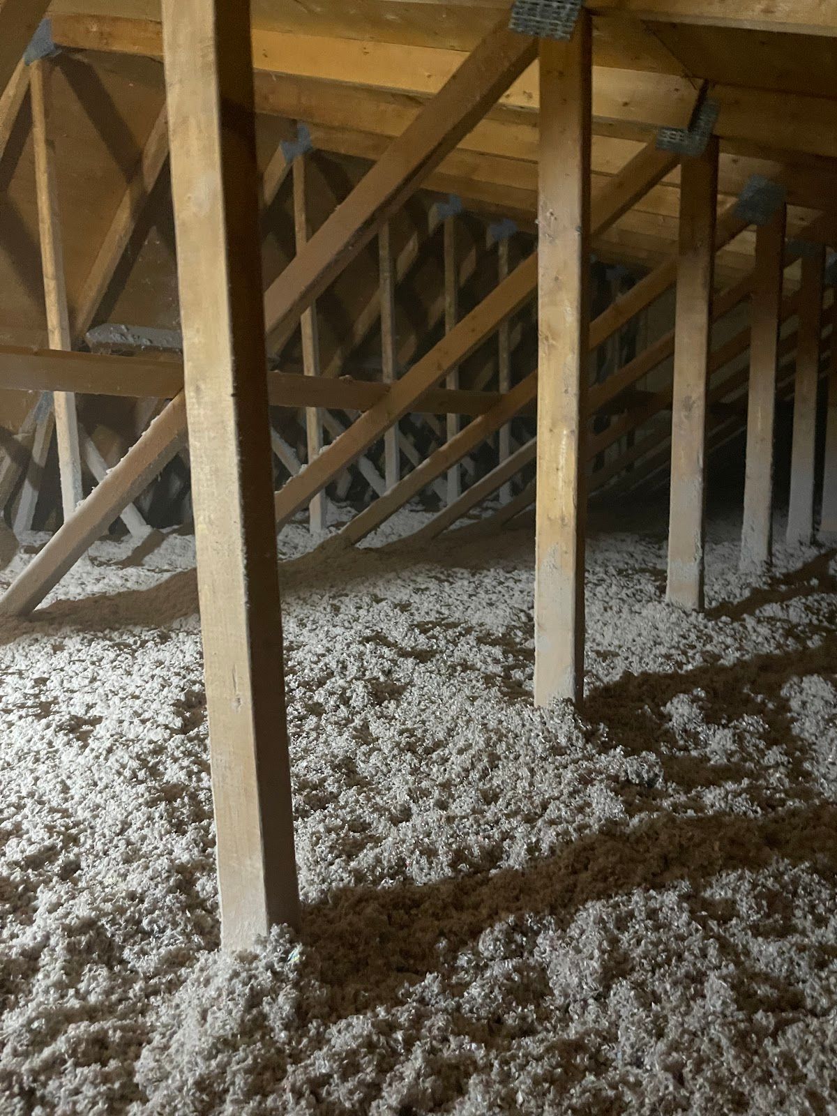Attic filled with white insulation, wooden beams and supports.