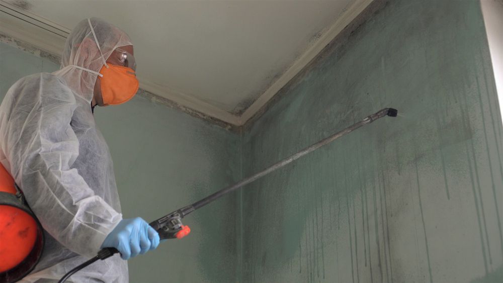 Person in hazmat suit spraying a mold-infested wall in a room.
