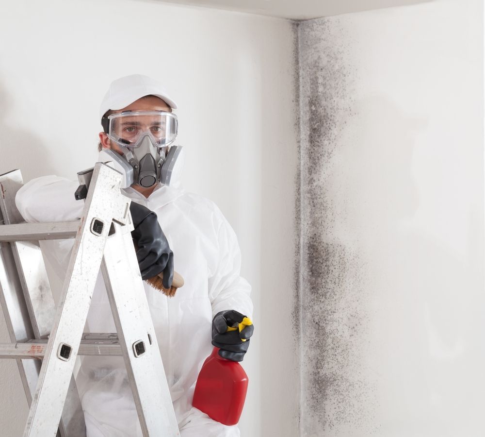 A man wearing a gas mask is standing on a ladder holding a spray bottle.