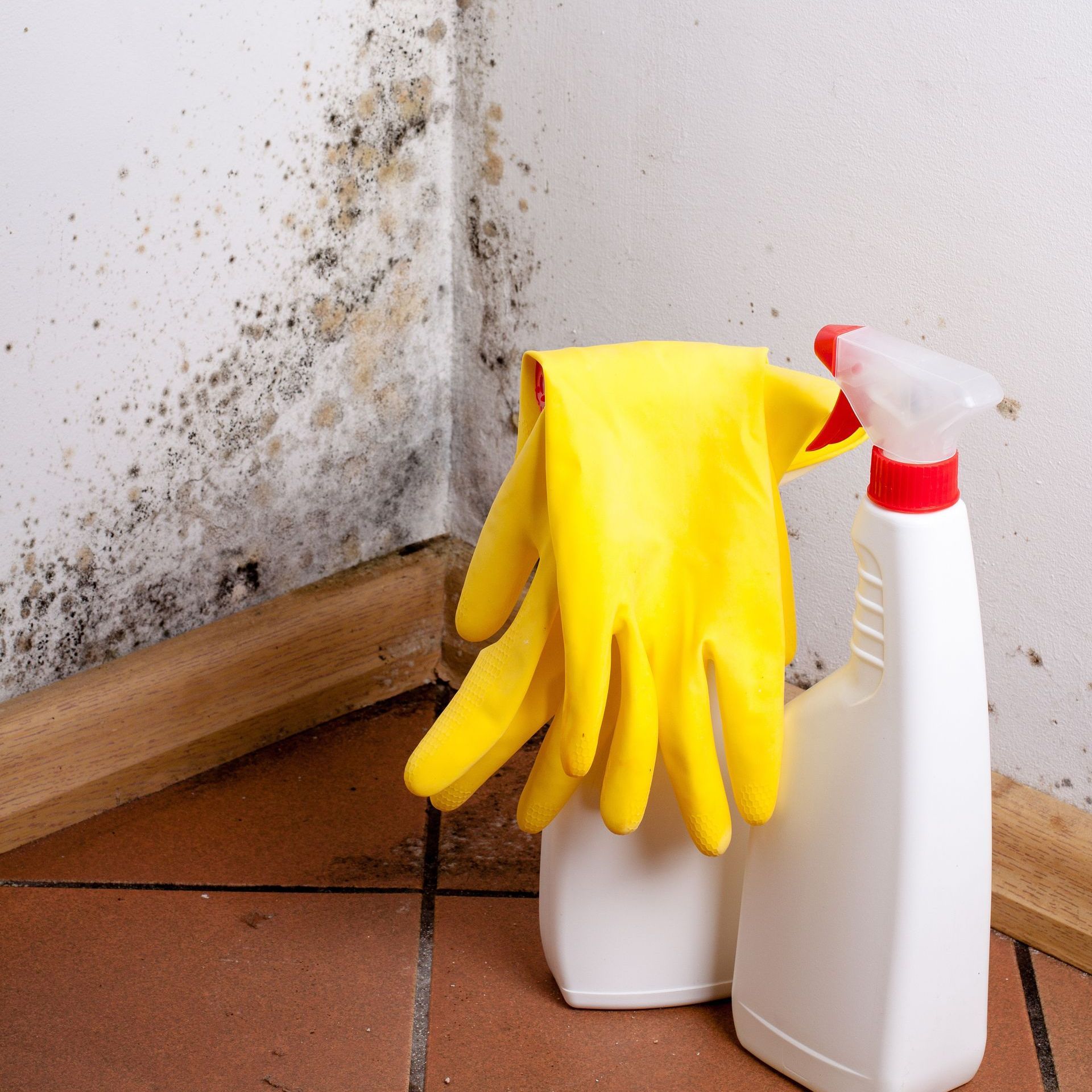 A pair of yellow gloves and a spray bottle are sitting on the floor in front of a mouldy wall.