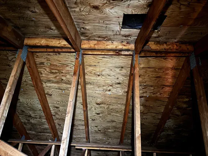 View inside a wooden attic showing roof rafters, trusses, and plywood roof sheathing.