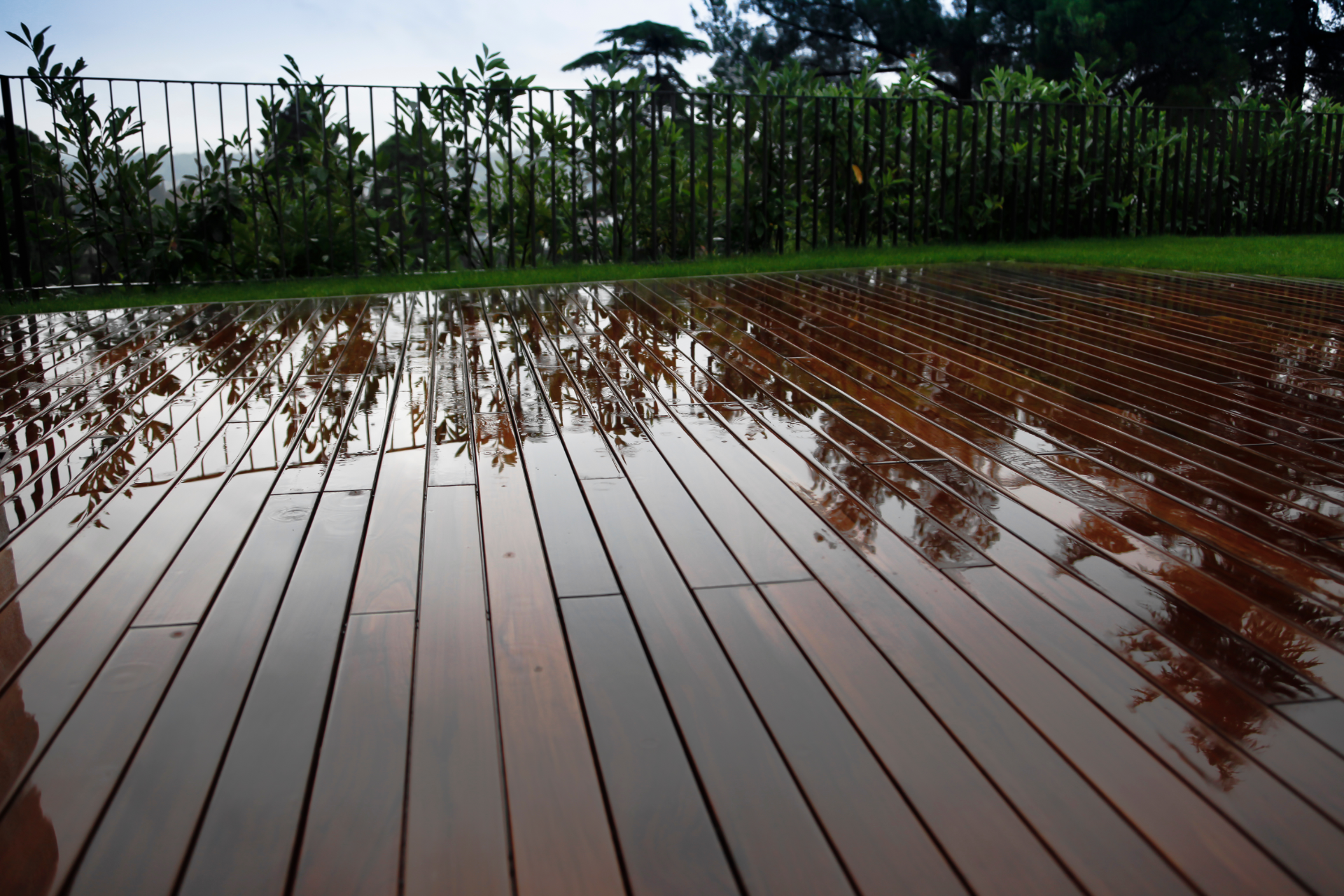 A photo of a new deck that was built a few days ago. It has just rained so the deck is wet. You can see green grass and trees in the background of the deck.
