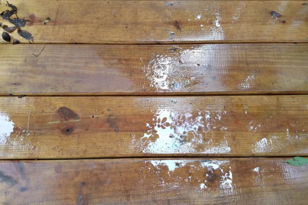 Wet wooden deck boards with water droplets and leaf debris.