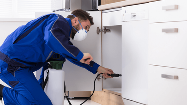 pest control enfield