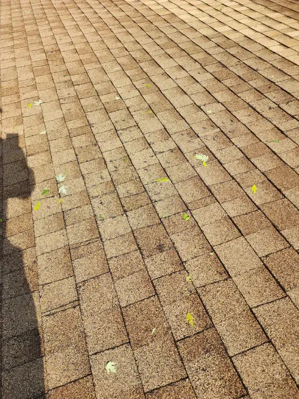 A shadow of a person is cast on a brick walkway.