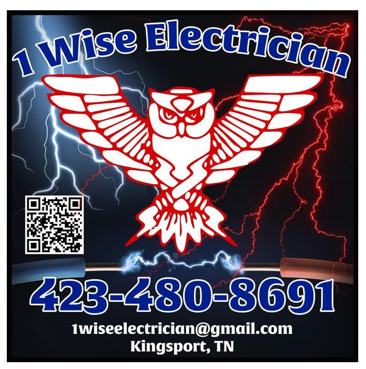 1 Wise Electrician