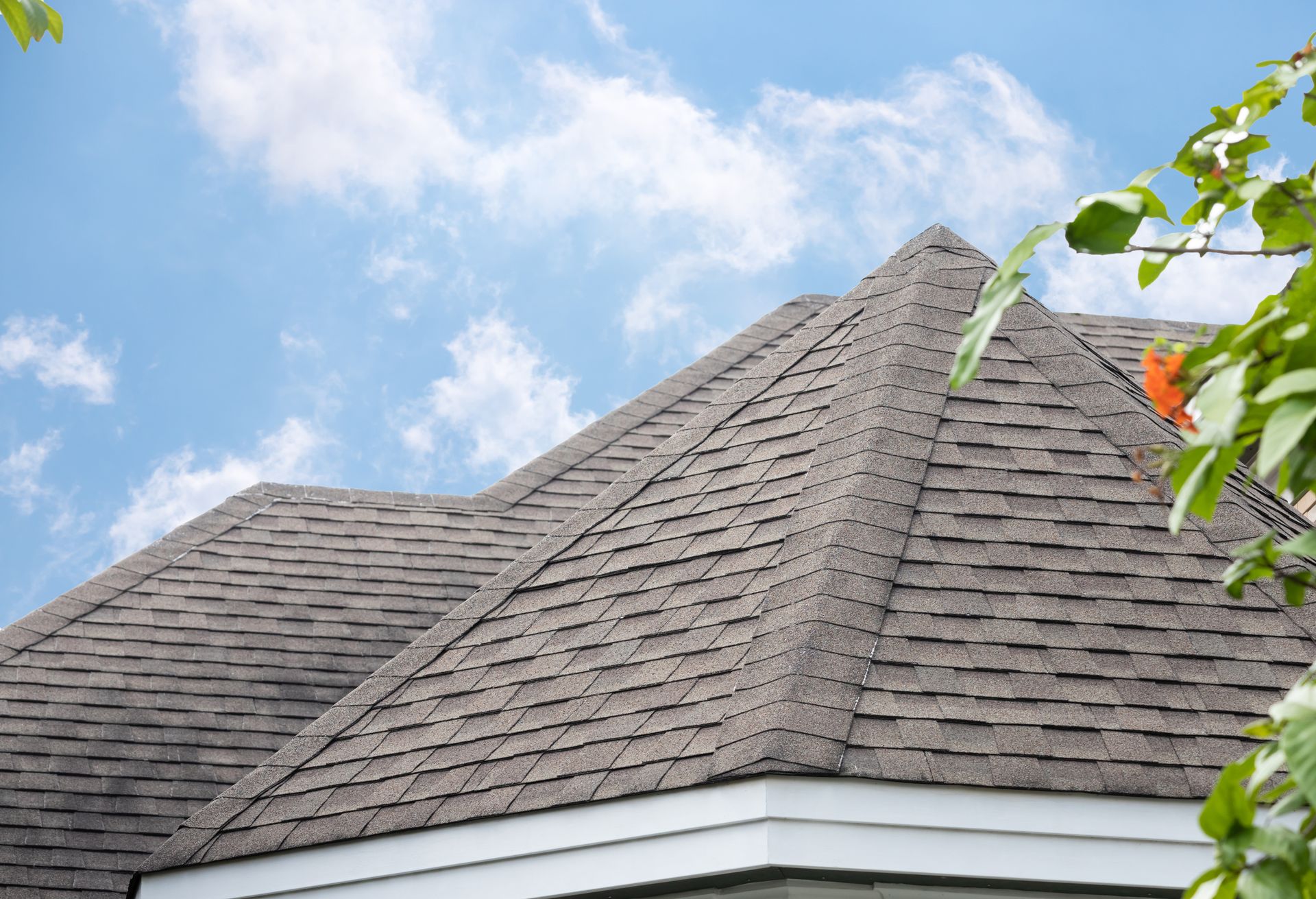 Gray shingled roof of a house against a blue sky, with some green foliage in the corner.
