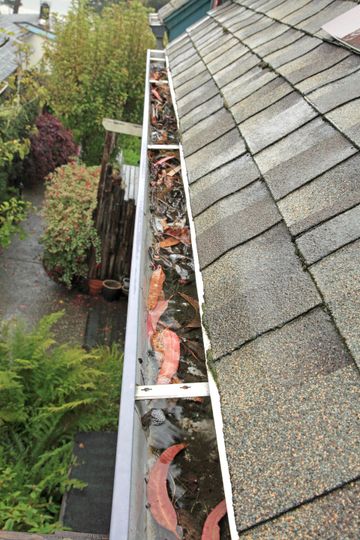 Gutter filled with leaves and debris, alongside a gray shingled roof.