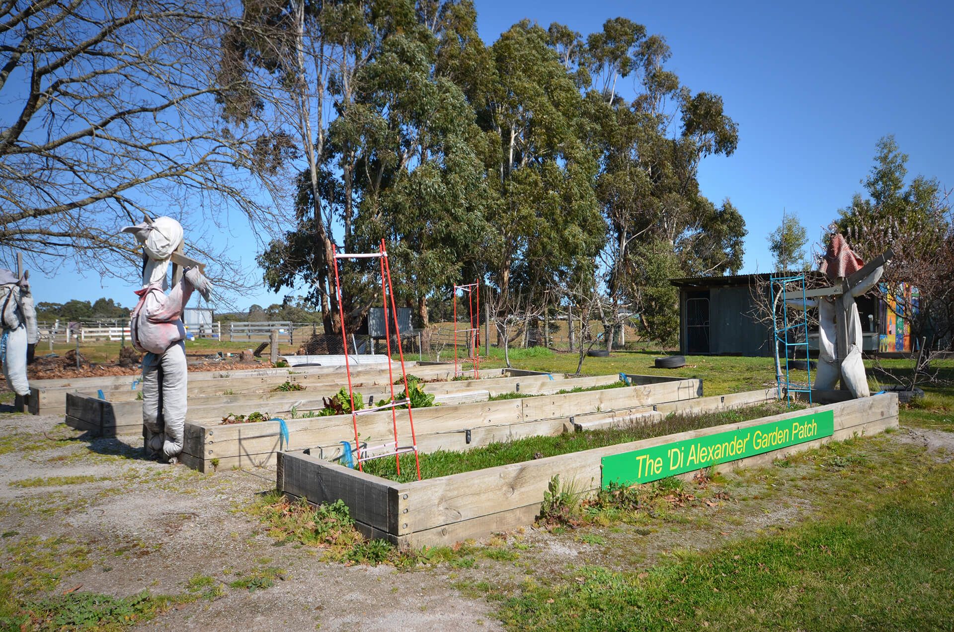 Woady Yaloak Primary School, Garden