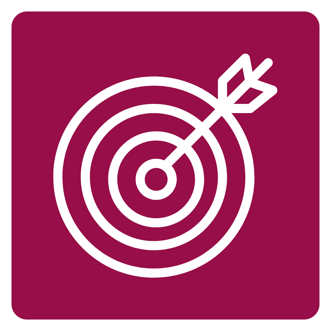 An icon of a target with an arrow in the center.