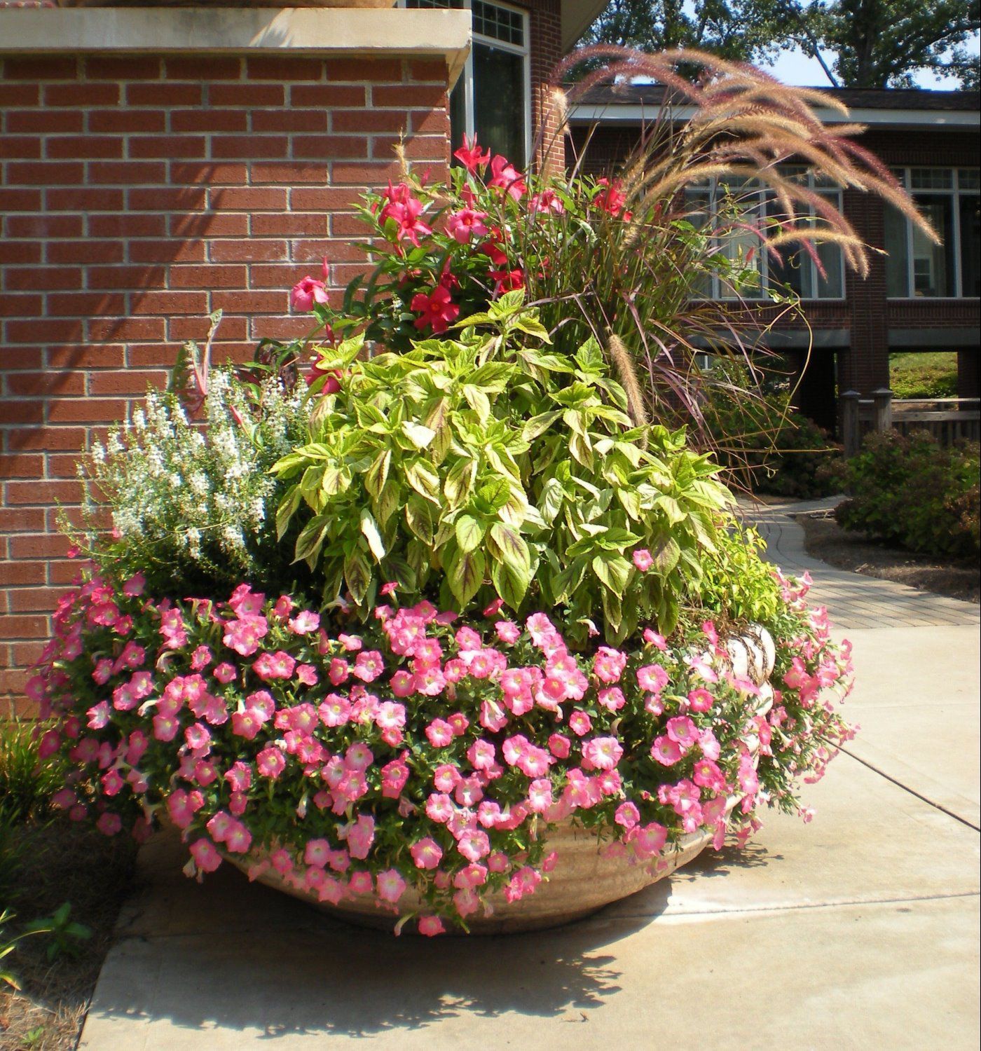 Pretty Planters Flower Display - Color Burst