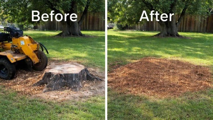 Before-and-after photos of a yard showing a tree stump being removed by a yellow stump grinder, replaced by wood chips.