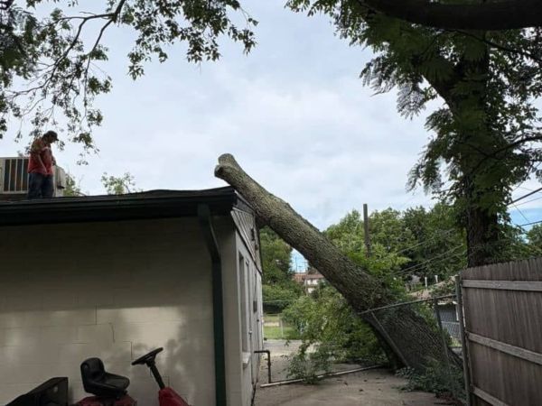 Emergency tree service response shows tree fallen on house