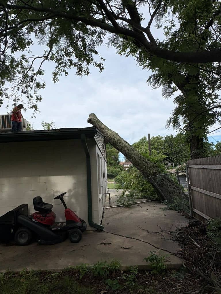A person standing on a roof next to a large tree trunk that has fallen and is resting against the side of the house.