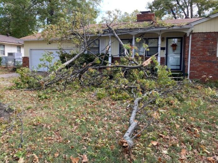 Storm clean up and debris removal shows large tree limbs in lawn