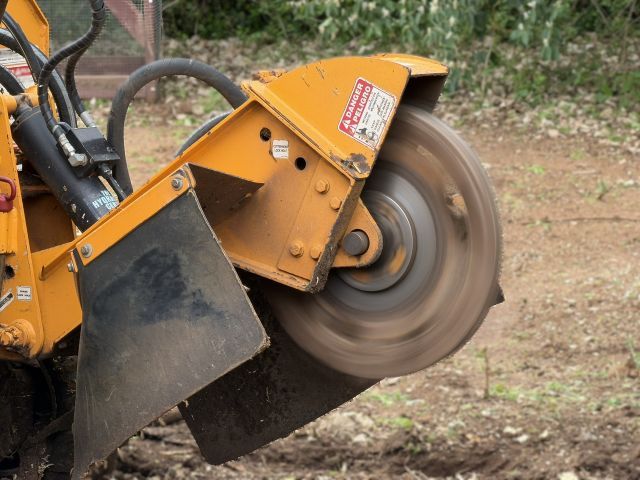 A yellow stump grinder machine with a large, rotating steel cutting blade is operating on a dirt patch.