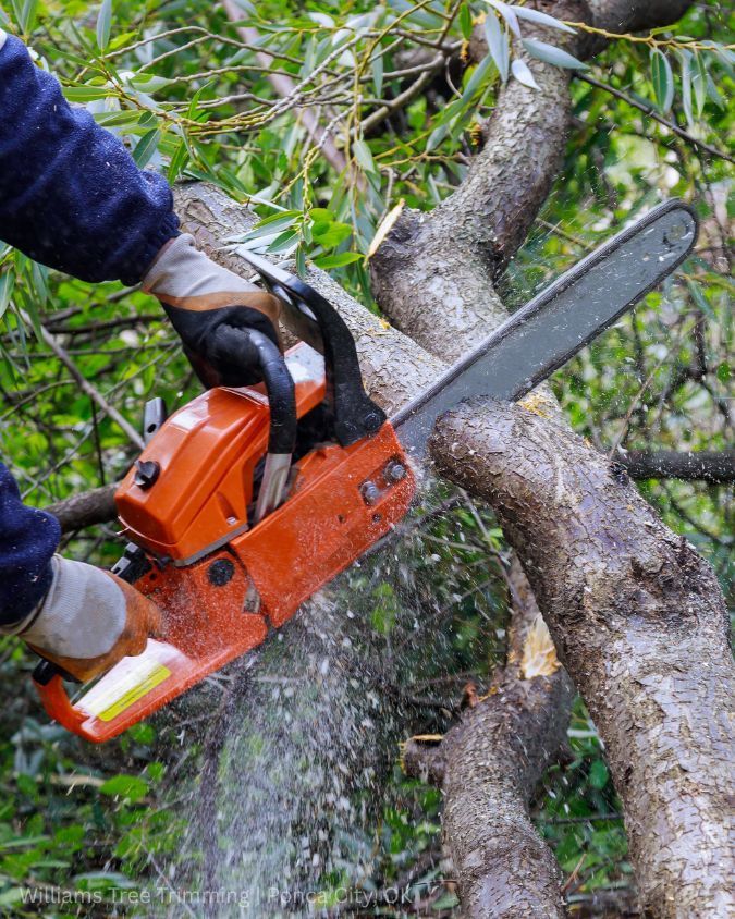 A person in work gloves uses an orange chainsaw to cut through a thick tree branch.