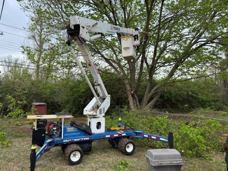 Tree trimming a tree from manlift in backyard near Woodlands Elementary school.